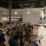 La Notte dei Musei | 17 maggio 2025