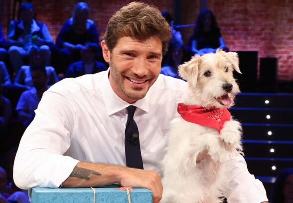 Gennarino va in pensione: il cane di Affari Tuoi lascia la trasmissione a fine stagione